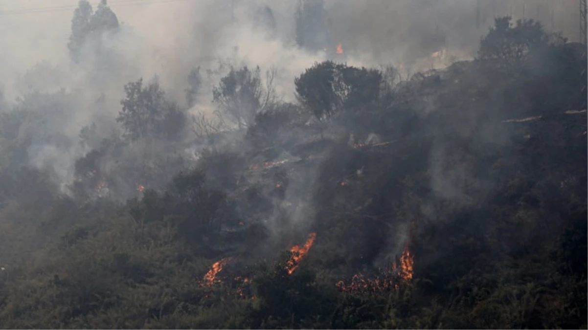 Şili'deki orman yangınlarında ölü sayısı 51'e yükseldi